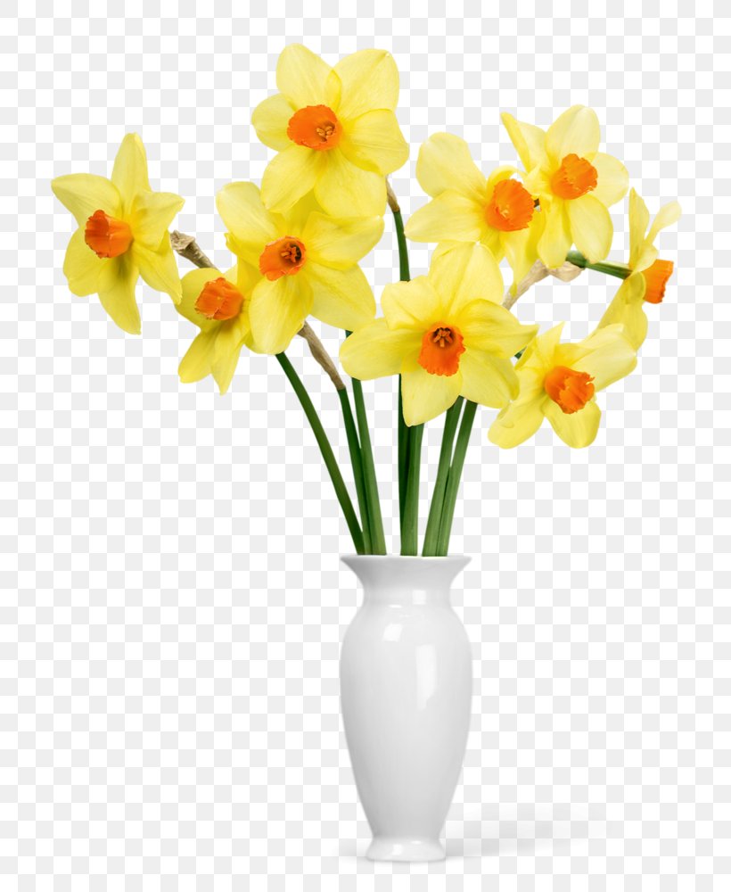 Floral Flower Background, PNG, 764x1000px, Daffodil, Amaryllis Family, Artificial Flower, Bouquet, Cattleya Download Free