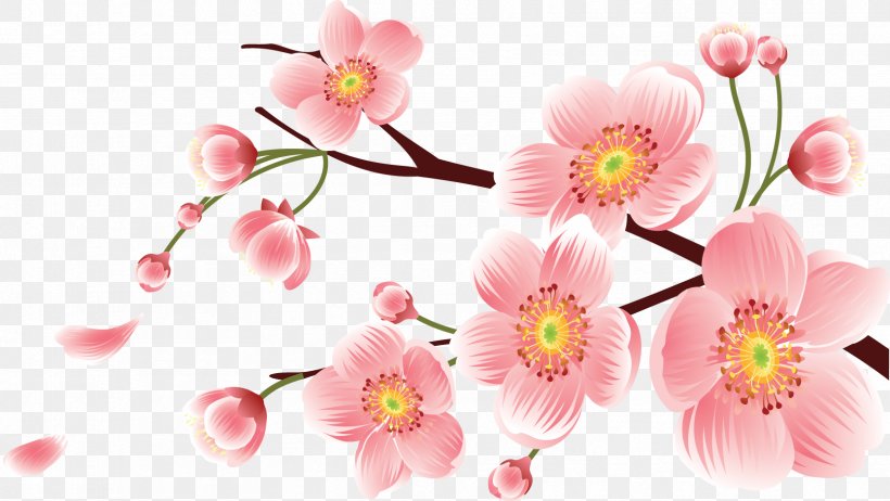 Peach Floral Design Cherry Blossom, PNG, 1667x940px, Peach, Blossom, Branch, Cherry Blossom, Color Download Free