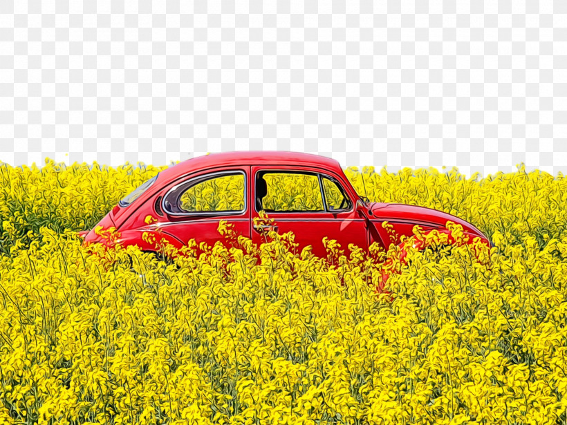 Rapeseed Oil Car Yellow Landscape Flower, PNG, 1920x1440px, Watercolor, Car, Flower, Landscape, Paint Download Free