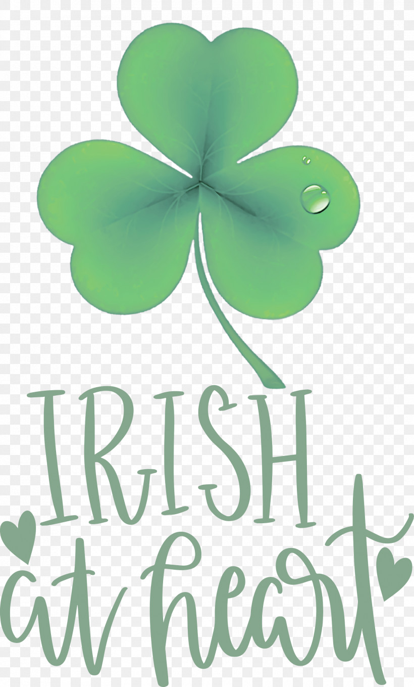 Shamrock Irish Saint Patrick, PNG, 1810x3000px, Shamrock, Biology, Green, Irish, Leaf Download Free