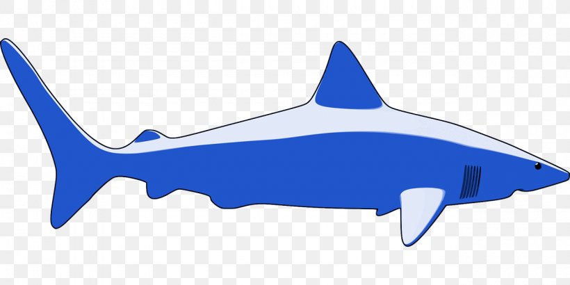 Shark Clip Art, PNG, 1280x640px, Shark, Aerospace Engineering, Air Travel, Blender, Blue Download Free