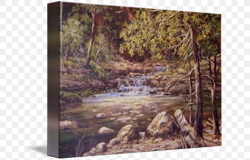 Bayou Water Resources Woodland Painting Ecosystem, PNG, 650x526px, Bayou, Bank, Creek, Ecosystem, Fluvial Landforms Of Streams Download Free
