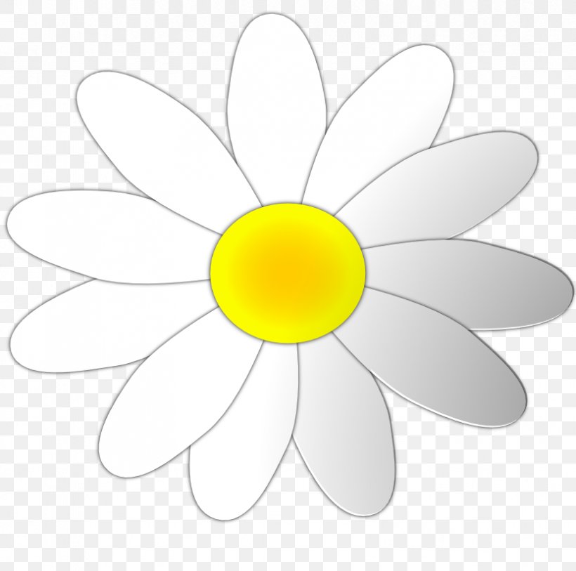 Common Daisy Clip Art, PNG, 831x824px, Common Daisy, Blog, Daisy, Flora, Flower Download Free