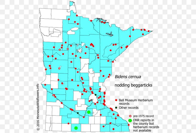 Line Point Map Organism Tuberculosis, PNG, 521x556px, Point, Area, Diagram, Map, Organism Download Free