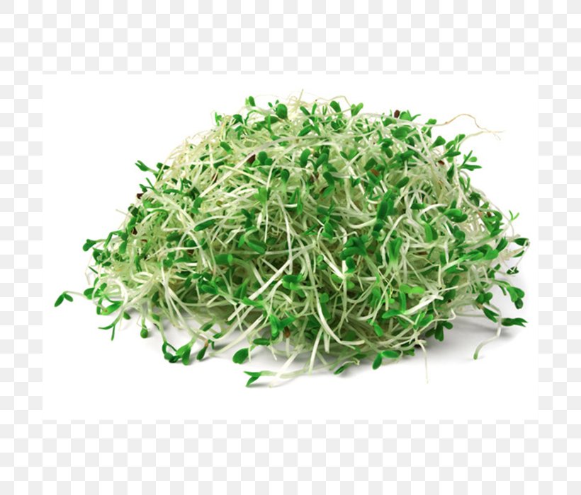 Sprouting Stretch Marks Raw Foodism Organic Food, PNG, 700x700px, Sprouting, Alfalfa, Alfalfa Sprouts, Eating, Food Download Free