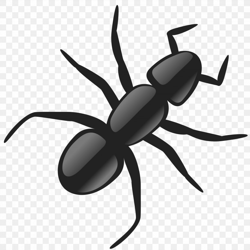 Ant Clip Art, PNG, 3990x3990px, Ant, Animation, Arthropod, Artwork, Black And White Download Free