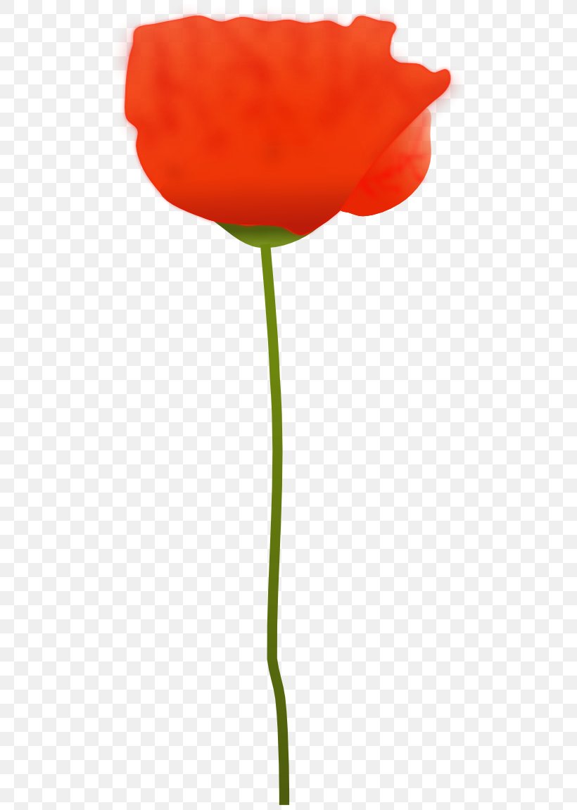 Common Poppy Remembrance Poppy Clip Art, PNG, 512x1151px, Poppy, California Poppy, Common Poppy, Coquelicot, Cut Flowers Download Free