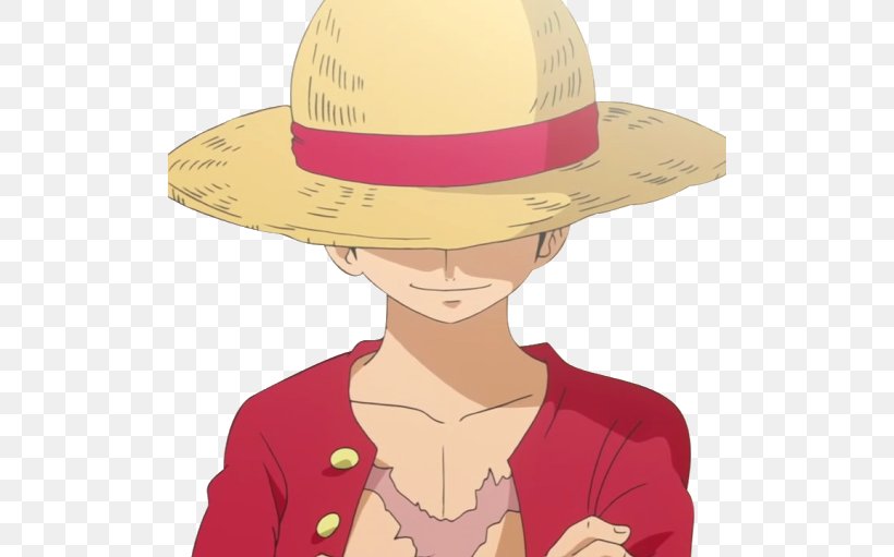 Monkey D. Luffy Roronoa Zoro Boa Hancock Nami One Piece, PNG, 512x511px, Watercolor, Cartoon, Flower, Frame, Heart Download Free