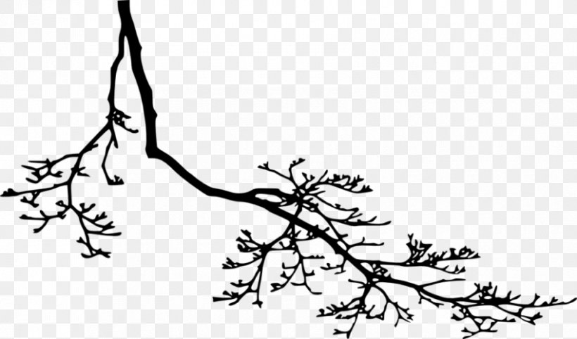 Twig Branch Black And White Clip Art, PNG, 850x500px, Twig, Area, Art, Artwork, Black Download Free