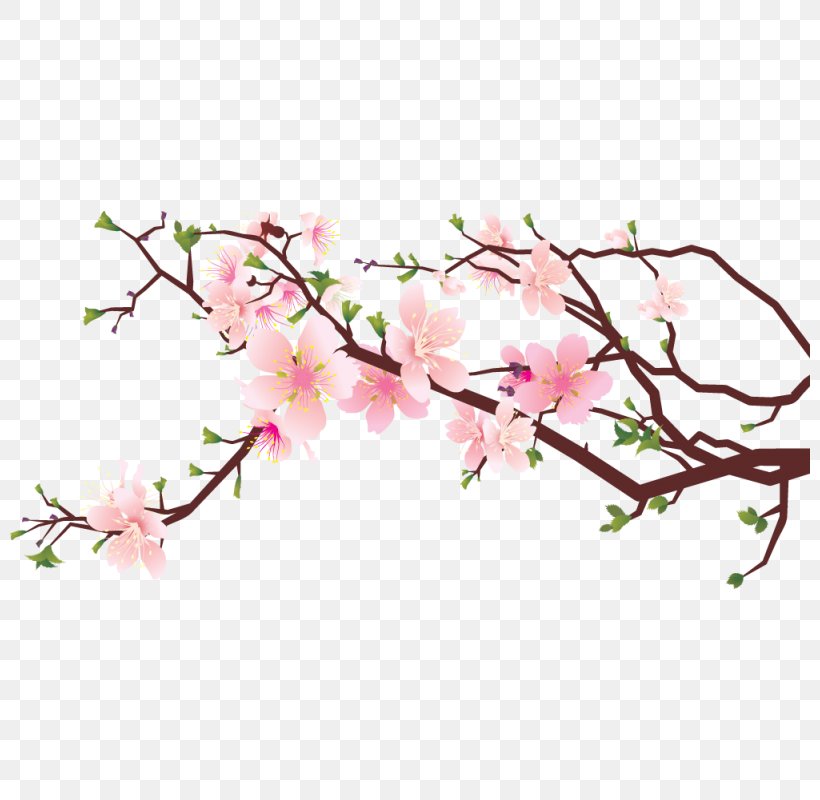 Cherry Blossom Clip Art Image Drawing, PNG, 800x800px, Cherry Blossom, Art, Blossom, Branch, Cherries Download Free