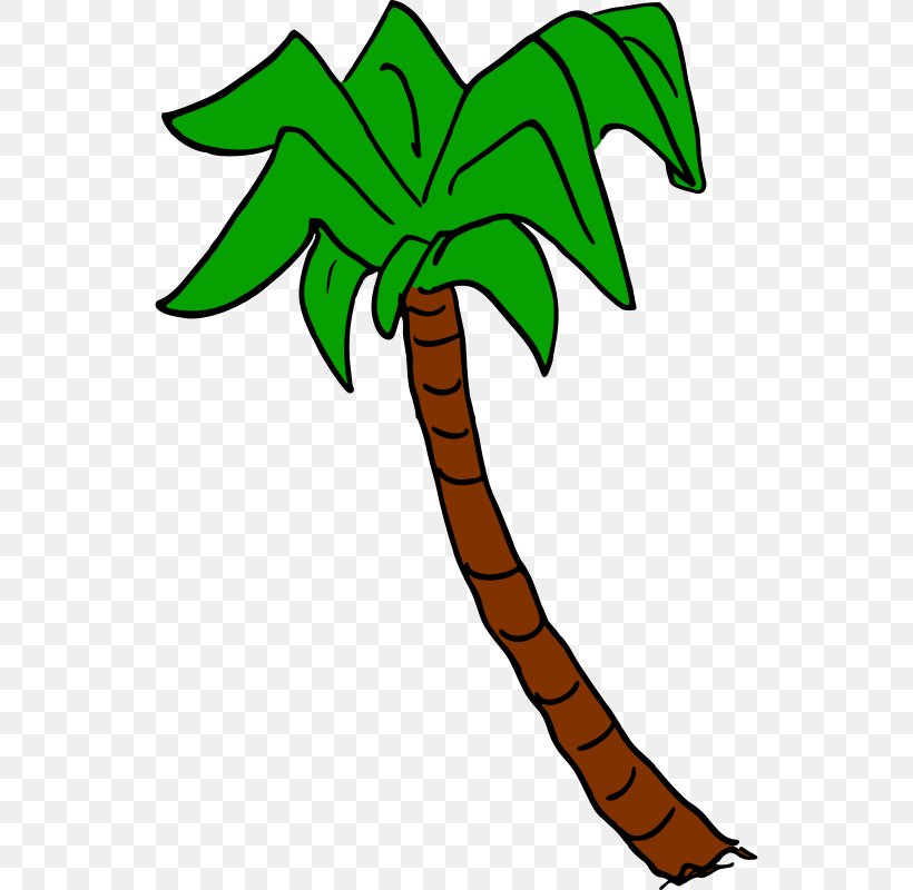Clip Art Palm Trees Leaf Chamaedorea, PNG, 542x800px, Palm Trees, Arecales, Artwork, Chamaedorea, Coconut Download Free