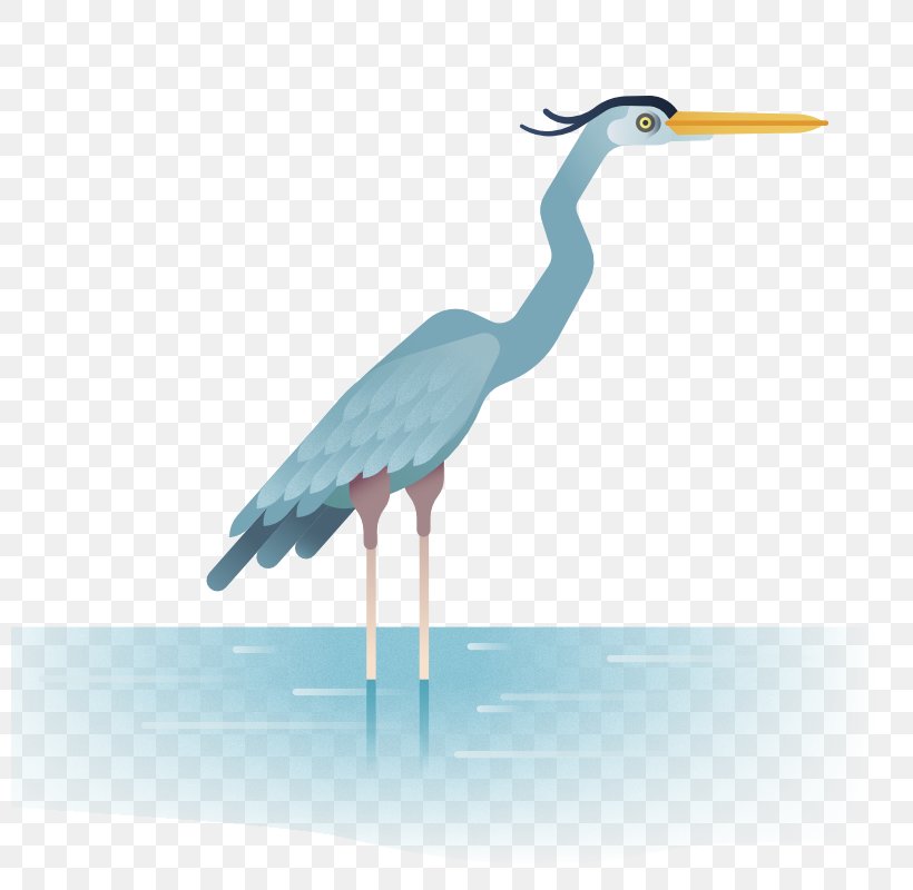 Crane Heron Bird Wader, PNG, 800x800px, Crane, Beak, Bird, Ciconiiformes, Crane Like Bird Download Free