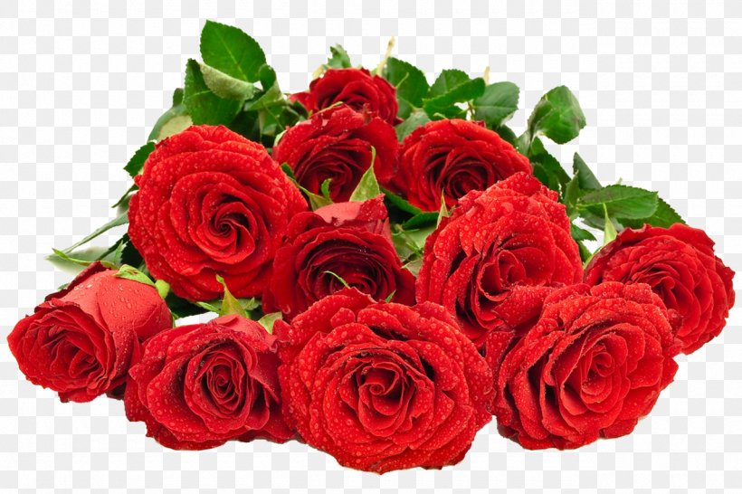 Garden Roses Flower Bouquet Stock Photography, PNG, 1280x853px, Garden Roses, Adenium Obesum, Artificial Flower, Cut Flowers, Featurepics Download Free