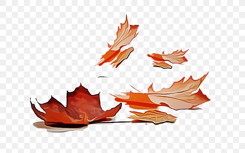 Maple Leaf, PNG, 650x514px, Leaf, Black Maple, Deciduous, Maple Leaf, Orange Download Free