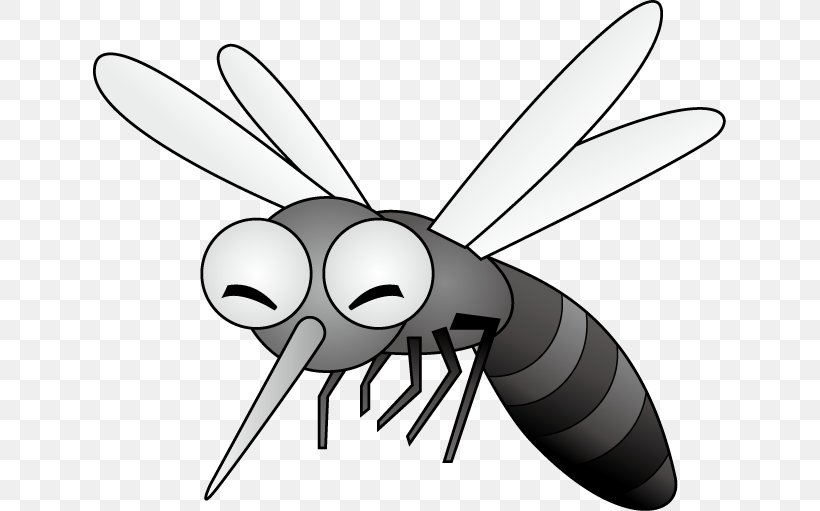 Mosquito Insect Black And White Fly, PNG, 633x511px, Mosquito, Arthropod, Artwork, Black And White, Drawing Download Free