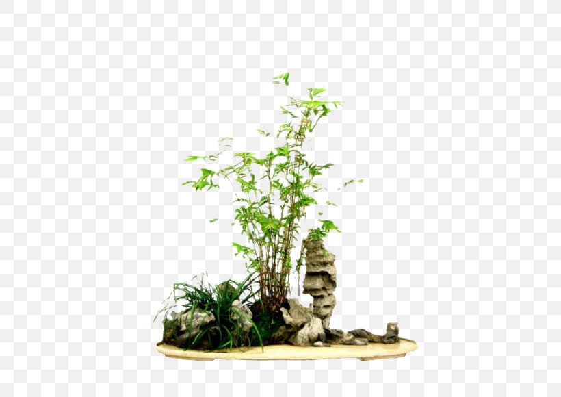 Bonsai Bamboo Penjing Flowerpot Tree, PNG, 460x580px, Bonsai, Bamboo, Flowerpot, Four Gentlemen, Garden Download Free