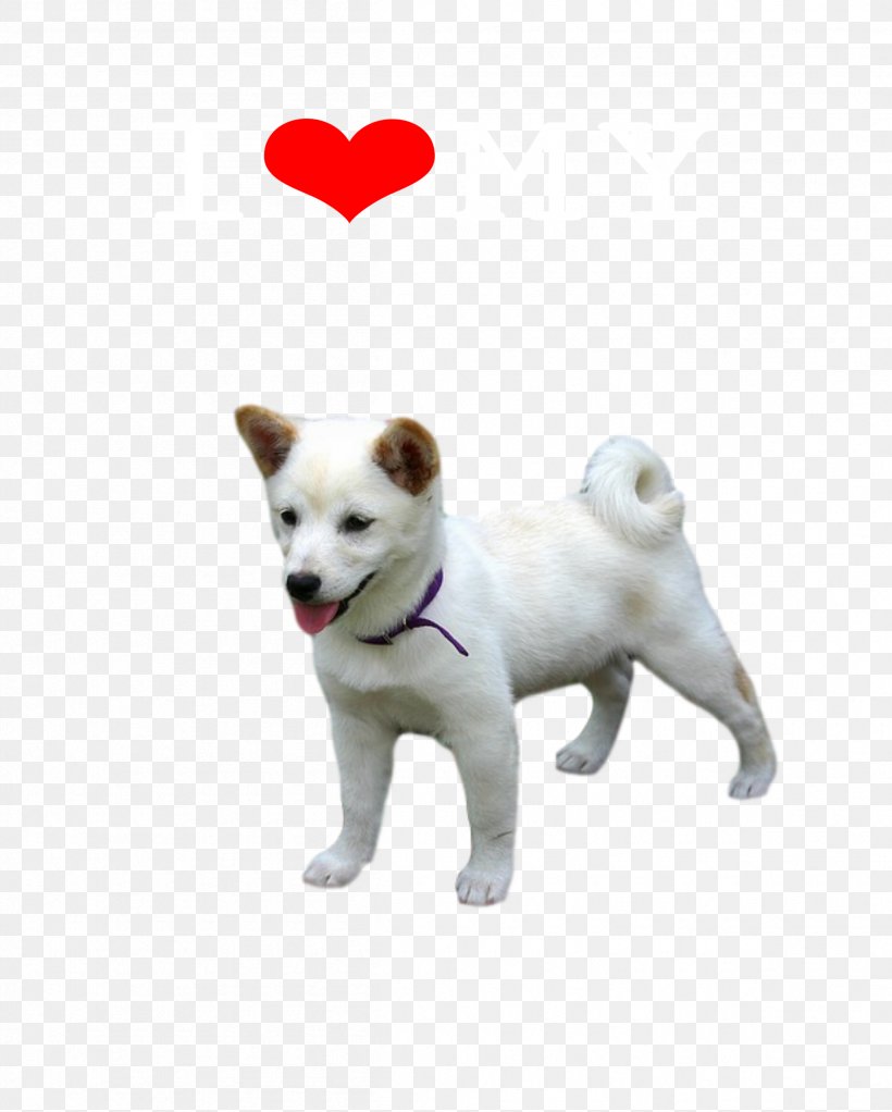 Dog Breed Canaan Dog Kishu Puppy Akita, PNG, 2405x2999px, Dog Breed, Akita, Canaan Dog, Carnivoran, Companion Dog Download Free