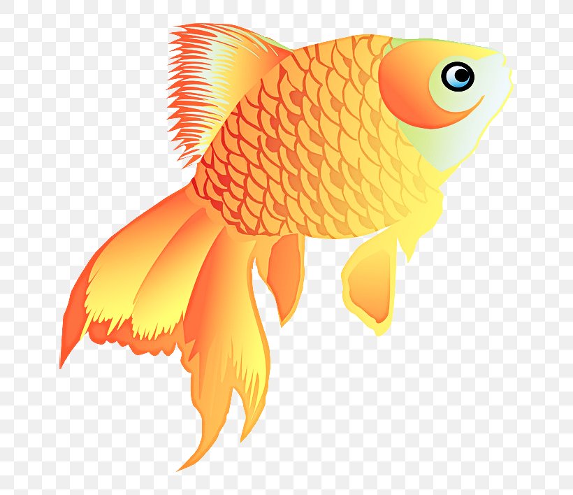 Fish Cartoon, PNG, 800x708px, Goldfish, Biology, Bonyfish, Butterflyfish, Fin Download Free