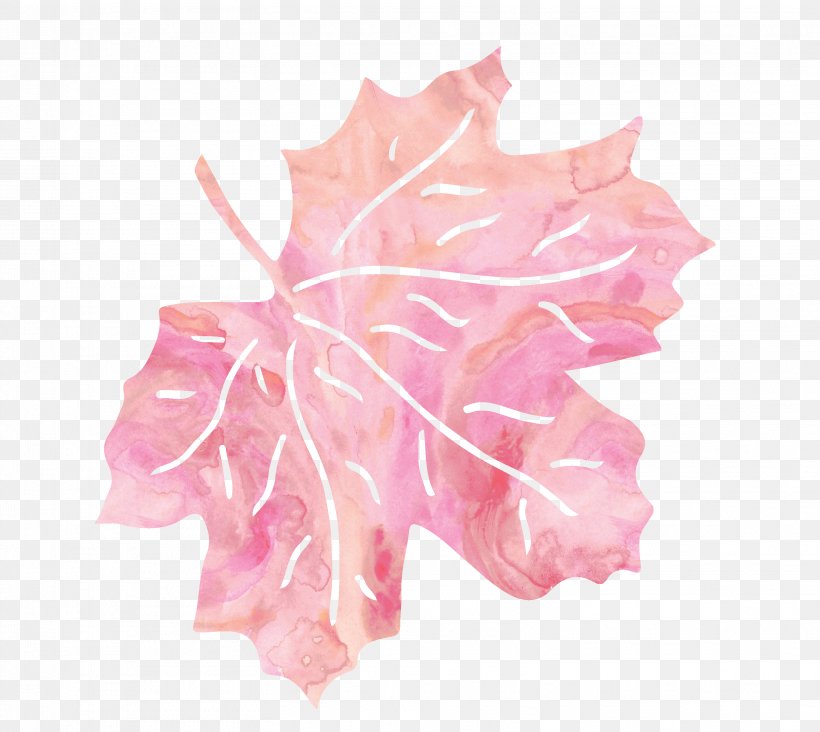 Leaf Pink Petal, PNG, 3112x2779px, Leaf, Color, Flower, Google Images, Maple Leaf Download Free
