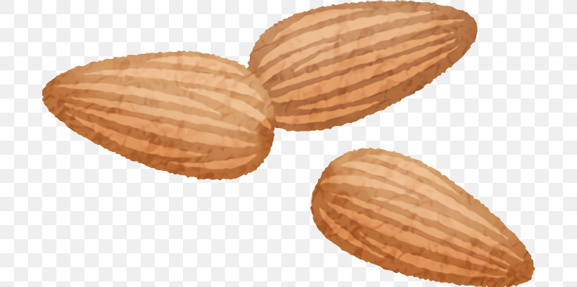 /m/083vt Wood Nut, PNG, 700x408px, M083vt, Nut, Wood Download Free