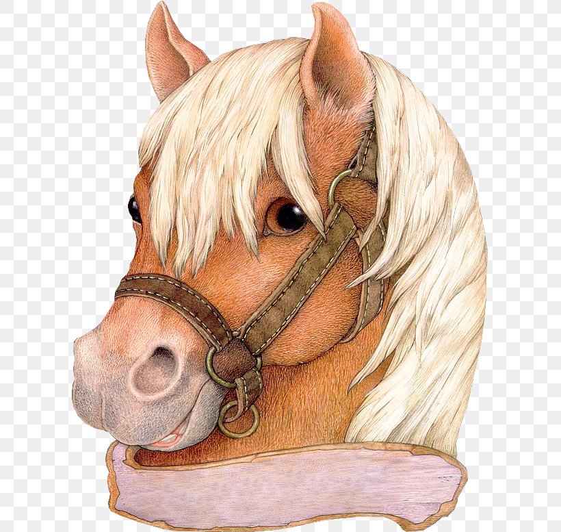 GIF Horse Image Clip Art, PNG, 609x777px, Horse, Blog, Bridle, Ear, Female Download Free