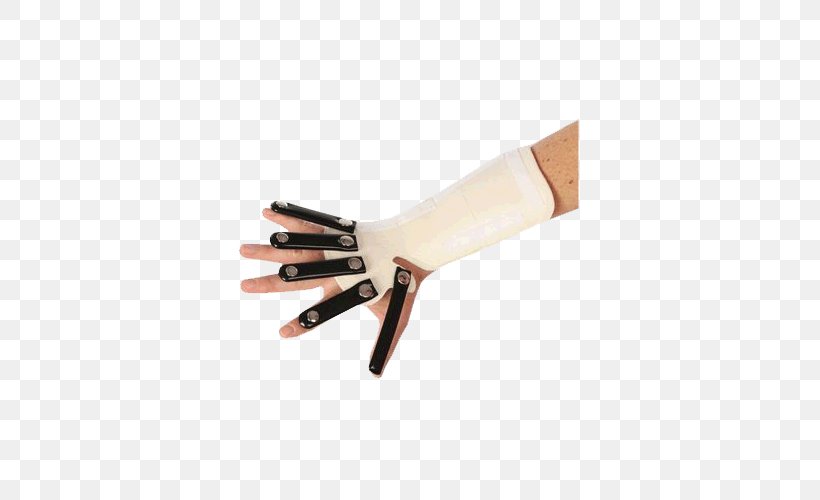 Thumb Radial Nerve Hand Radial Artery Forearm, PNG, 500x500px, Thumb, Alimed Inc, Com, Digit, Finger Download Free