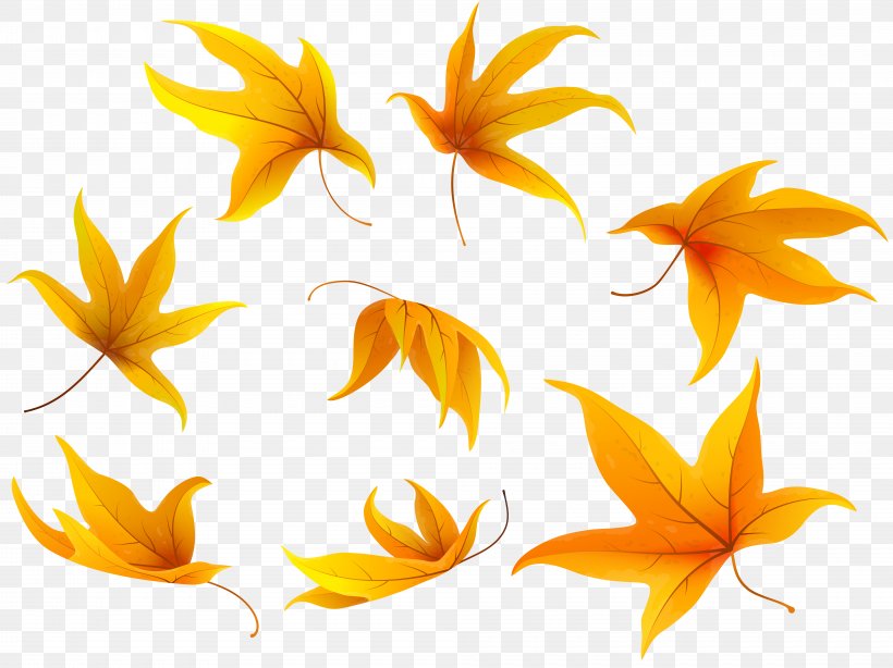 Clip Art Image Autumn Leaf Color, PNG, 8000x5997px, Autumn, Autumn Leaf Color, Cartoon, Flora, Flower Download Free