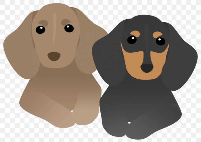 Dog Breed Dachshund Puppy Pet Sitting New Year Card, PNG, 850x600px, Dog Breed, Breed, Carnivoran, Dachshund, Dog Download Free