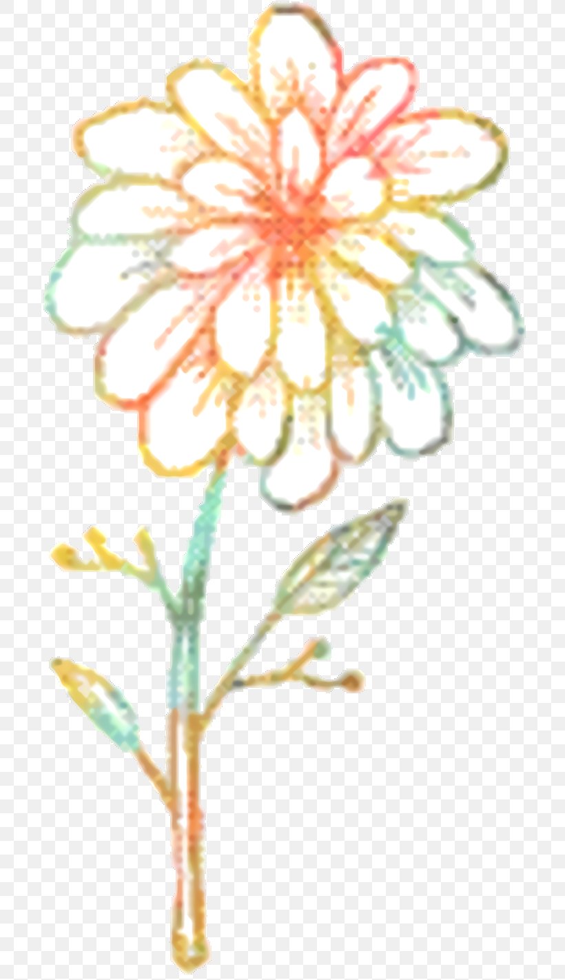 Floral Flower Background, PNG, 730x1422px, Chrysanthemum, Chamomile, Dahlia, Daisy Family, English Marigold Download Free