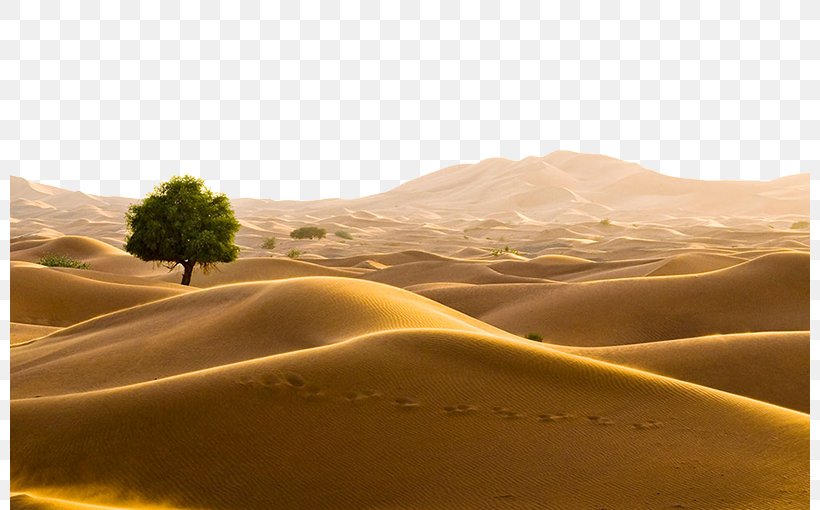 Oman Sahara Bahrain Desert Travel, PNG, 800x510px, Oman, Aeolian Landform, Badlands, Bahrain, Desert Download Free