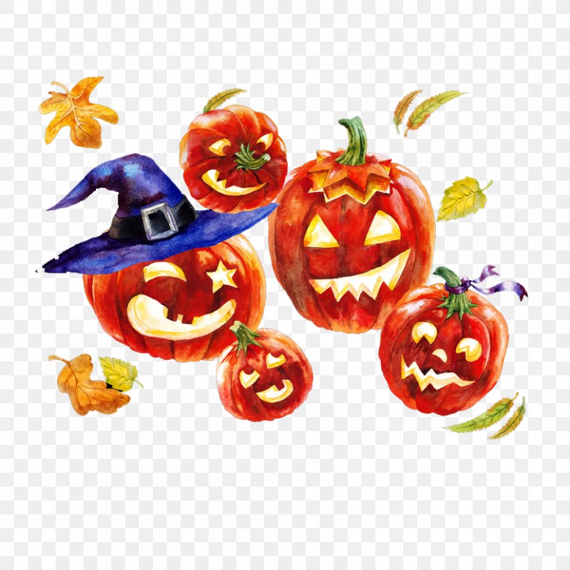 Pumpkin Halloween Jack-o-lantern Carving, PNG, 850x850px, Pumpkin, Autumn, Butternut Squash, Carving, Corn Maze Download Free
