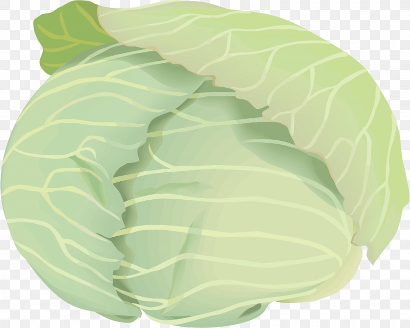 Collard Greens Cabbage Copyright-free Illustration Public Domain, PNG, 3840x3077px, Collard Greens, Brassica Oleracea Var Italica, Cabbage, Cc0lisenssi, Copyright Download Free
