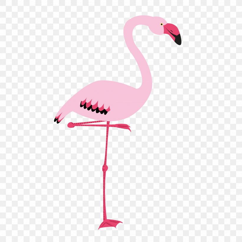 Flamingo Bird Cygnini, PNG, 2083x2083px, Flamingo, Beak, Bird, Crane Like Bird, Cygnini Download Free
