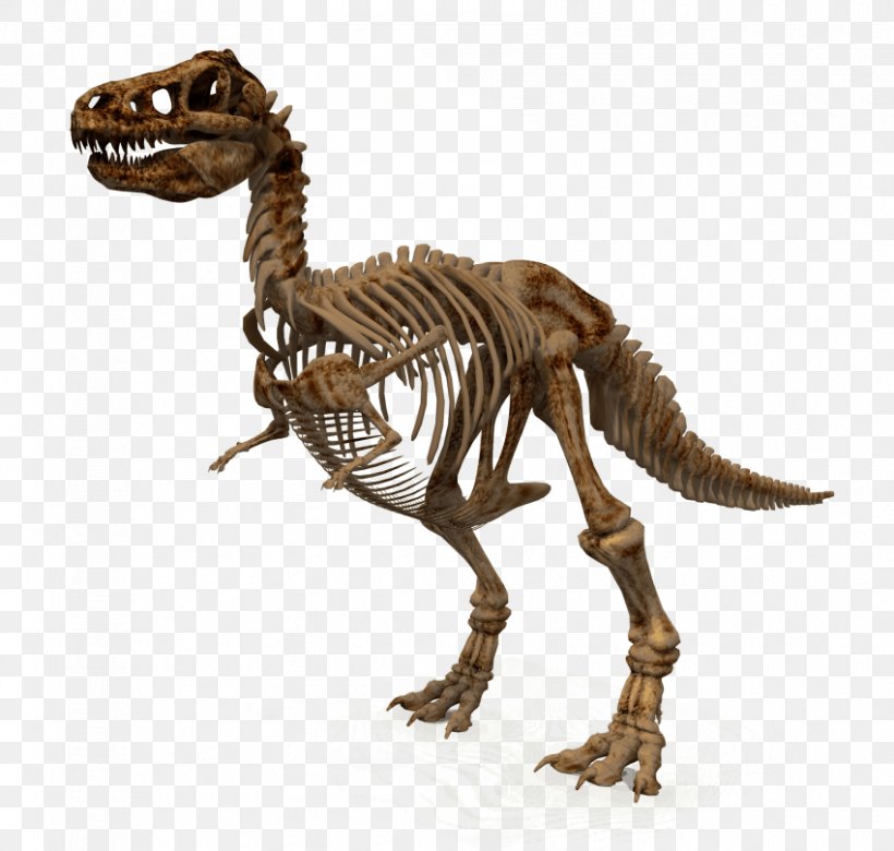 Clip Art Transparency Image Tyrannosaurus, PNG, 850x809px, 3d Computer Graphics, Tyrannosaurus, Animal Figure, Computer Graphics, Dinosaur Download Free