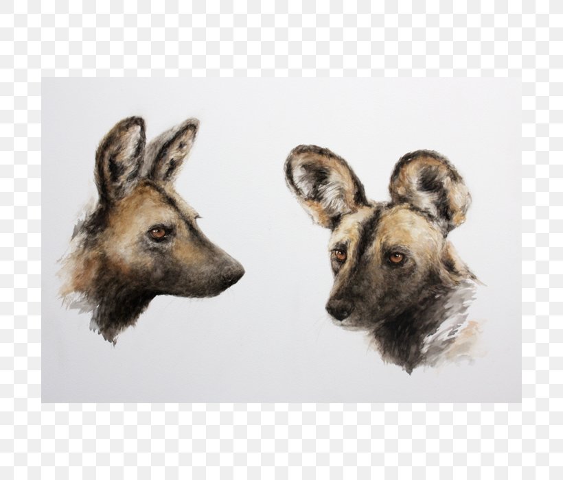 Dog Breed Fauna Snout Fur, PNG, 700x700px, Dog Breed, Breed, Dog, Dog Like Mammal, Fauna Download Free