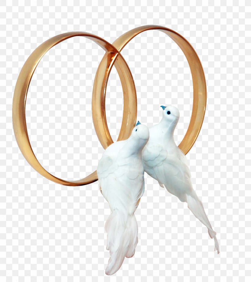 Pigeons And Doves Wedding Ring Clip Art, PNG, 1484x1664px, Pigeons And Doves, Body Jewelry, Bride, Engagement, Engagement Ring Download Free