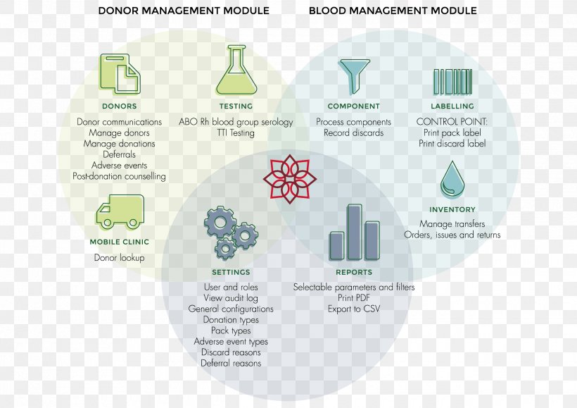 Venn Diagram Blood Donation Blood Management, PNG, 2480x1754px, Diagram, Blood, Blood Bank, Blood Donation, Blood Management Download Free
