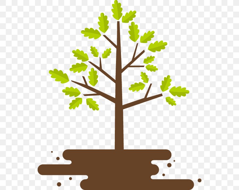 Clip Art Tree Planting Wall Decal, PNG, 562x654px, Tree, Birch, Branch, Decal, Flowering Plant Download Free