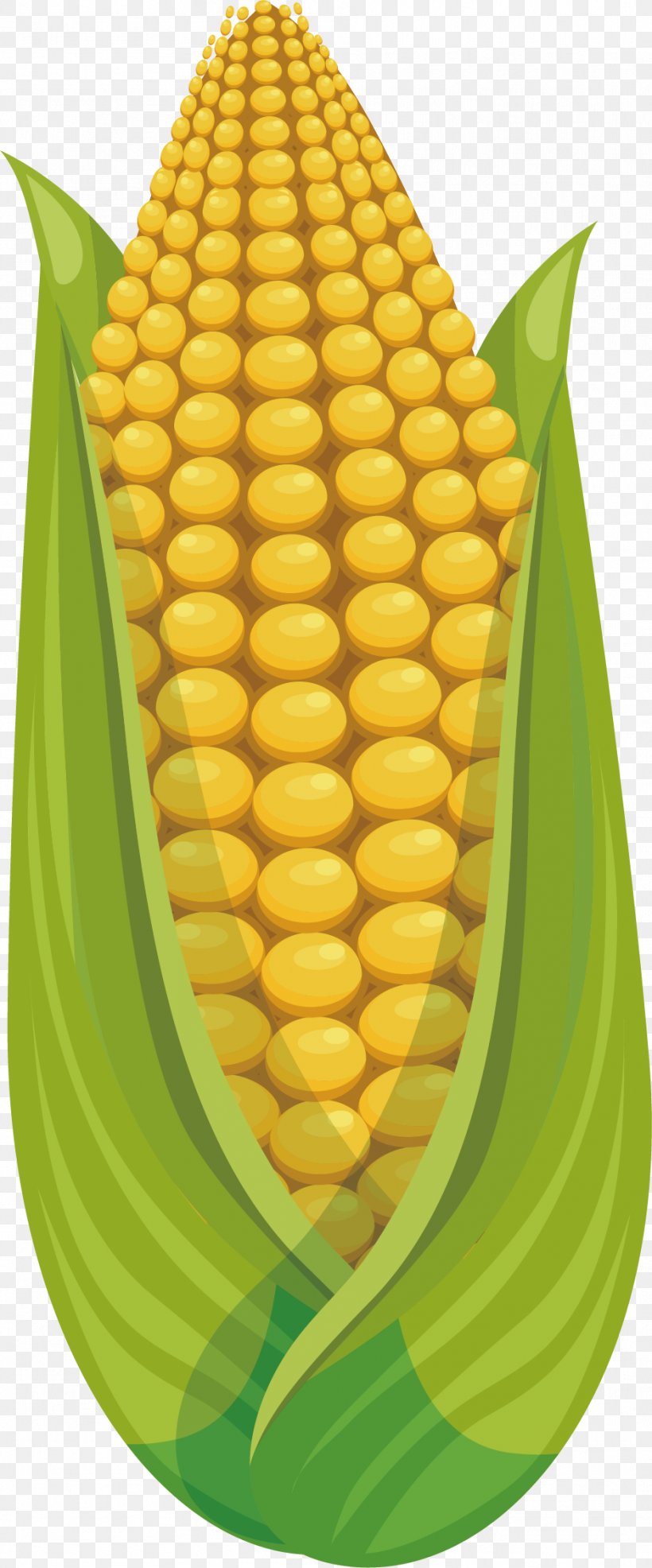 Corn On The Cob Maize Fruit Sweet Corn, PNG, 936x2252px, Corn On The Cob, Auglis, Commodity, Corn Kernel, Corn Kernels Download Free