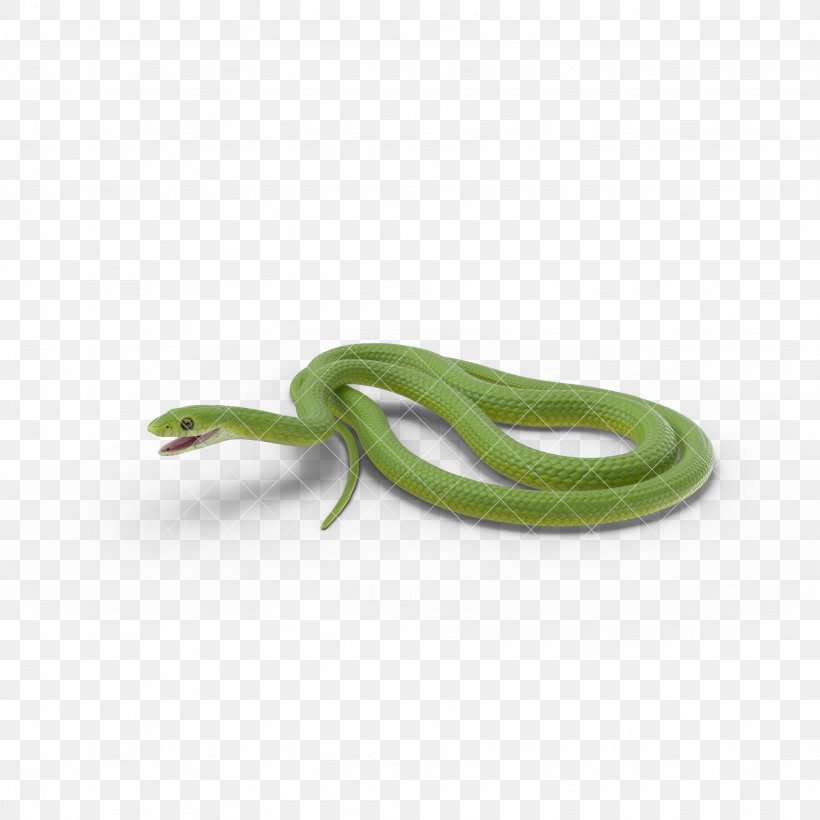 Smooth Green Snake U9577u86c7, PNG, 2048x2048px, Snake, Animal, Beauty Rat Snake, Eastern Brown Snake, Green Download Free