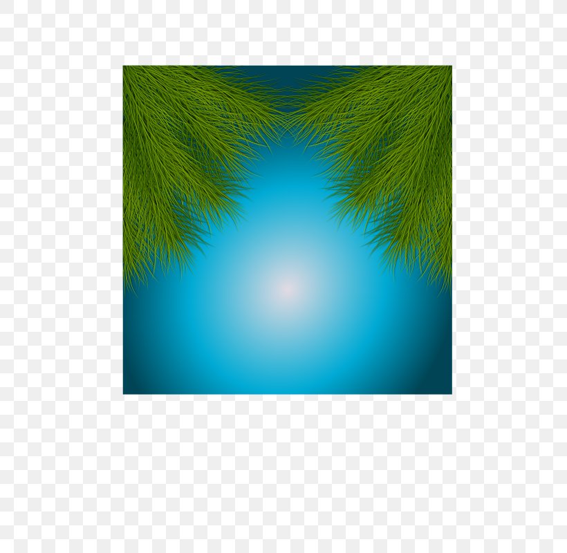 Turquoise Teal Desktop Wallpaper Computer Wallpaper, PNG, 566x800px, Turquoise, Computer, Grass, Microsoft Azure, Sky Download Free