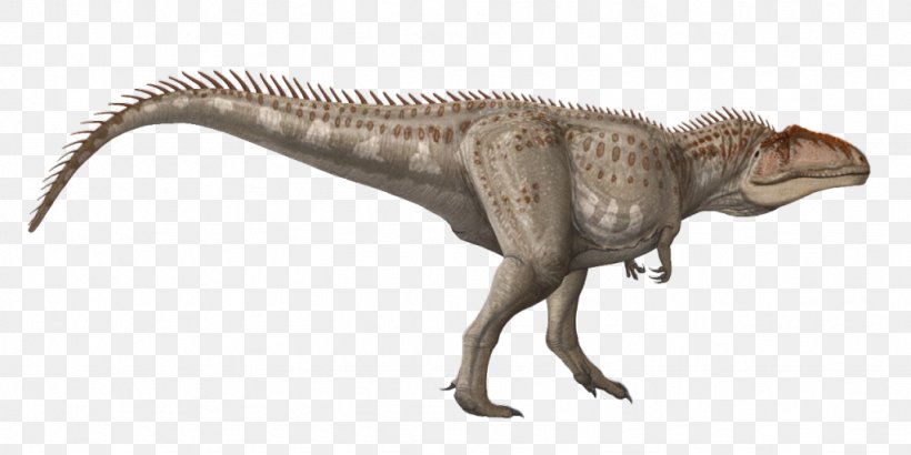 Tyrannosaurus Velociraptor Terrestrial Animal Wildlife, PNG, 1024x512px, Tyrannosaurus, Animal, Animal Figure, Dinosaur, Extinction Download Free