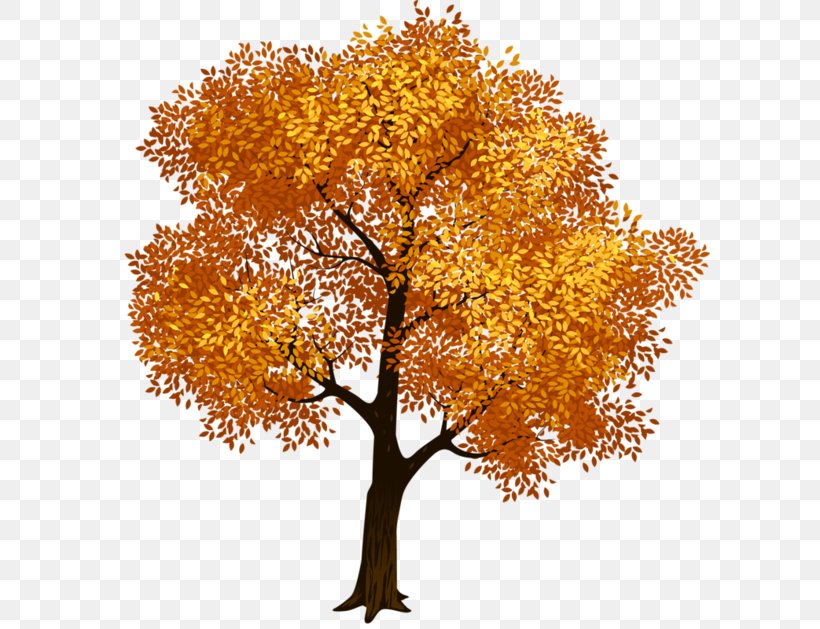 Clip Art Fall Tree Image, PNG, 600x629px, Tree, Autumn, Branch, Fall Tree, Maple Tree Download Free