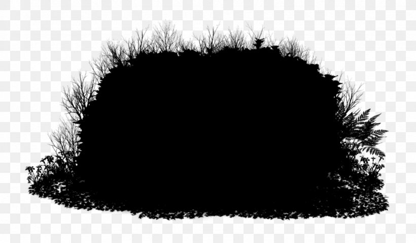 Fur Tree Black M, PNG, 1024x597px, Fur, Black, Black Hair, Black M, Cap Download Free