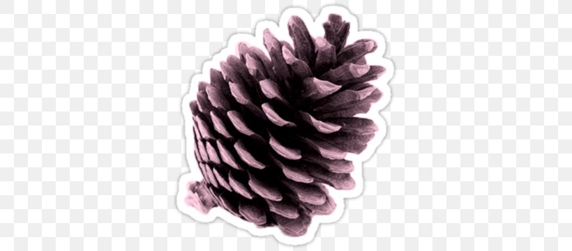 Conifer Cone Pine Desktop Wallpaper Tree, PNG, 375x360px, Conifer Cone, Cone, Mobile Phones, Paid Survey, Pine Download Free