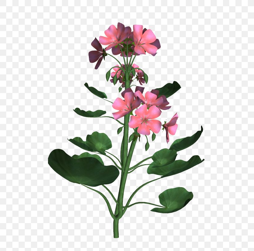 Lily Of The Incas Floral Design Cut Flowers Herbaceous Plant Plant Stem, PNG, 510x810px, Lily Of The Incas, Alstroemeriaceae, Annual Plant, Cut Flowers, Family M Invest Doo Download Free