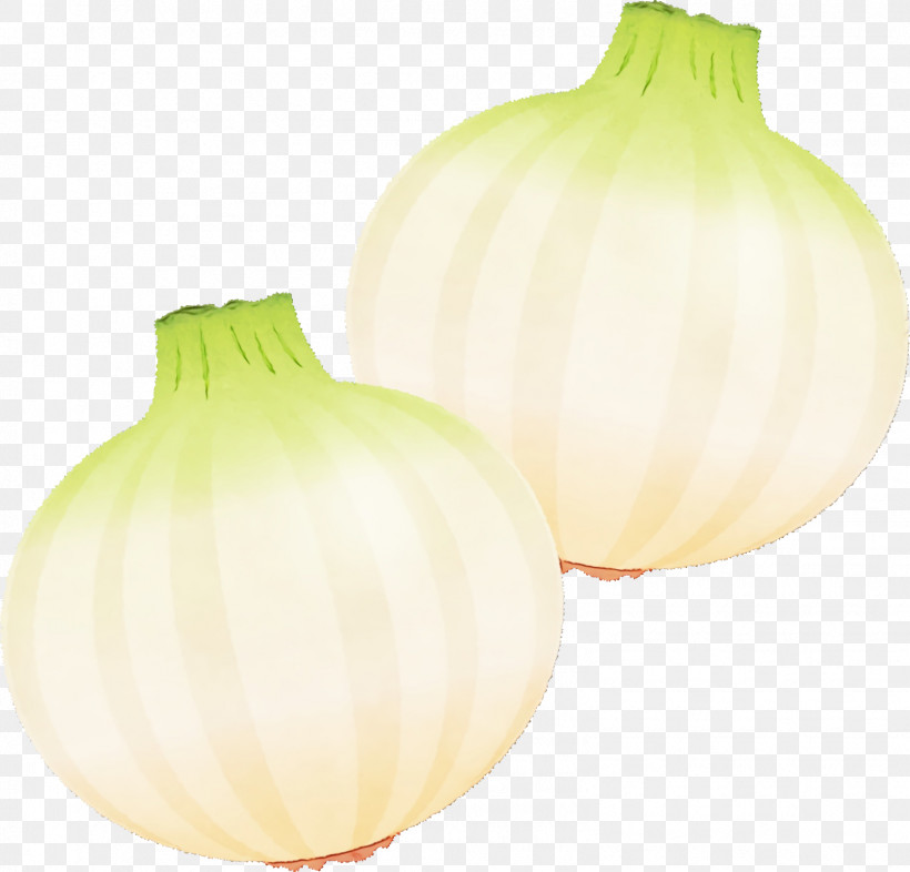 Yellow Onion Onion Yellow, PNG, 1584x1520px, Watercolor, Onion, Paint, Wet Ink, Yellow Download Free