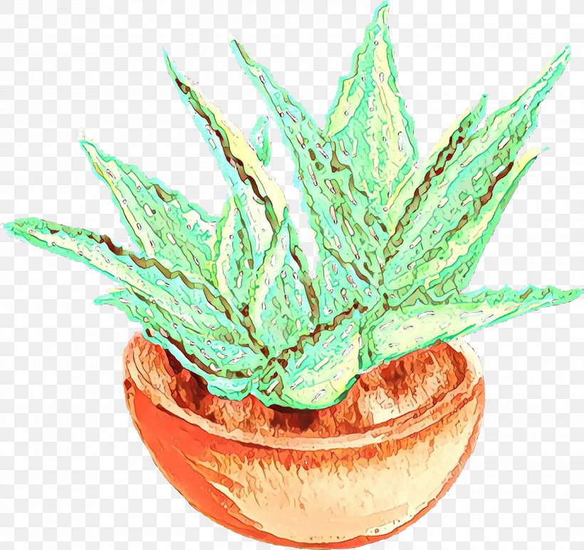 Aloe Vera Leaf, PNG, 3000x2826px, Cartoon, Agave, Aloe, Aloe Vera, Aloes Download Free