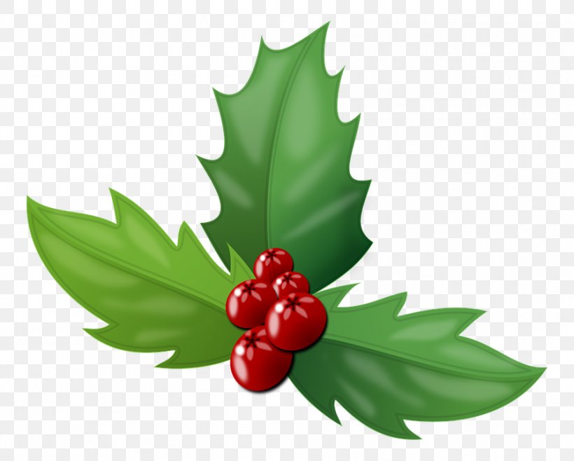 Berry Christmas, PNG, 897x720px, Berry, Aquifoliaceae, Aquifoliales, Bilberry, Christmas Download Free