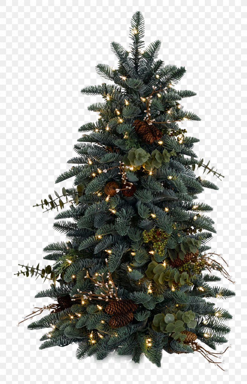Christmas Tree Christmas Decoration Santa Claus, PNG, 981x1520px, Christmas Tree, Advent, Advent Calendar, Christmas, Christmas And Holiday Season Download Free